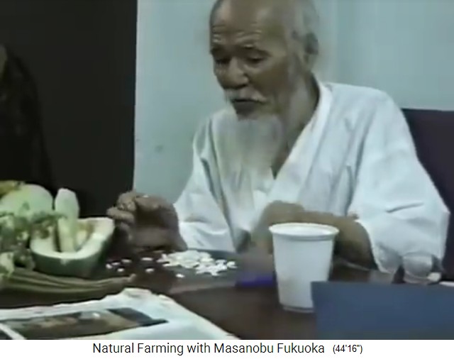 Fukuoka
                    recolectando semillas 3