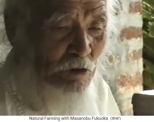 India 1997, Fukuoka
                    en la conferencia: La agricultura de maquinaria on
                    pesticidas destruye el suelo y provoca desiertos