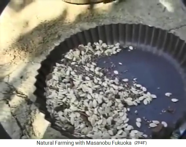 una mezcla de semillas en un molde de pastel