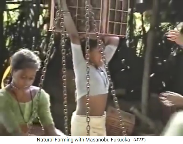 las
                    mujeres en el jard�n forestal en Dahanu llevan
                    cargas pesadas sobre sus cabezas