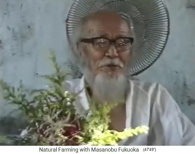 Conferencia de prensa de
                    Fukuoka en Dahanu 2-1 con planta