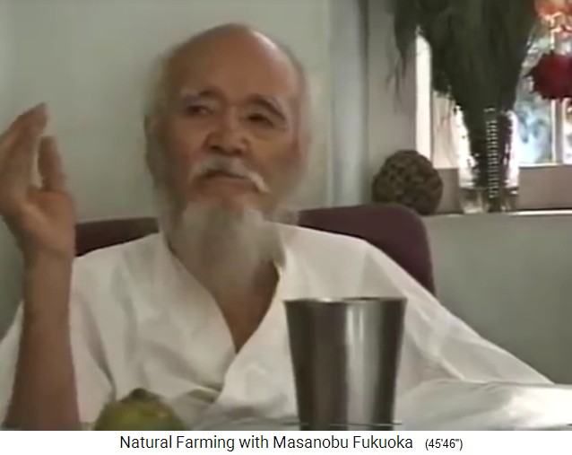 Fukuoka
                    en Dahanu, India 1997