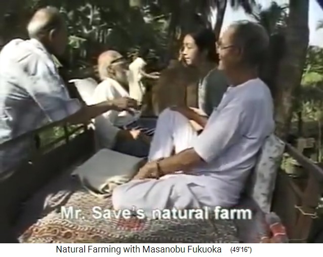 India 1997, Fukuoka visita el jard�n forestal
                    org�nico del Sr. Save en Valsad al norte de Mumbai