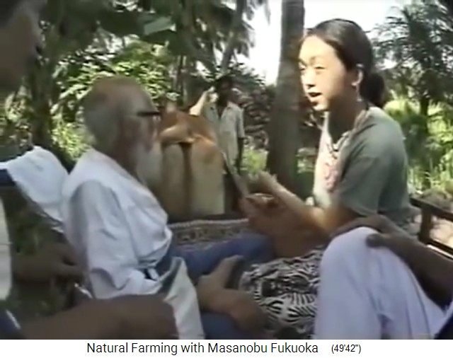 Salvad (India) 1997, Fukuoma
                    visits Mr. Save's organic forest garden in Valsad
                    north of Mumbai - close-up