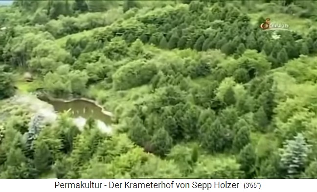 Einer der 72 Teiche und Bergseen
                    am Krameterhof