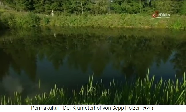 Ein Fischteich auf dem
                    Krameterhof, einer der 72 Teiche und Bergseen