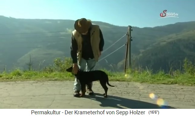Permakultur-Pionier Sepp Holzer mit Hund
                    Laika