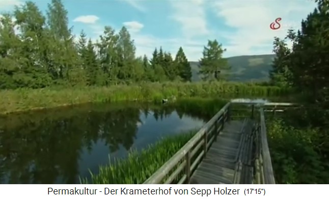 Grosser Teich am
                    Krameterhof, einer von 72 Teichen und Bergseen