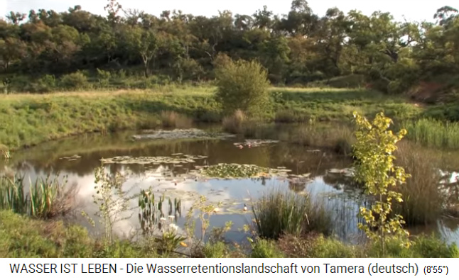 Tamera (Portugal):
                    See 1 mit Uferbereich in Schwingungen und Randzonen