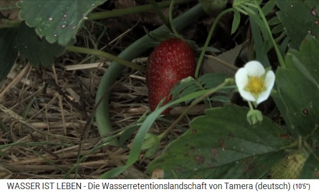 Tamera (Portugal) mit See 1 mit Erdbeeren