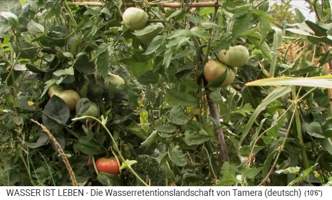 Tamera (Portugal) mit See 1
                    mit Tomatenkulturen