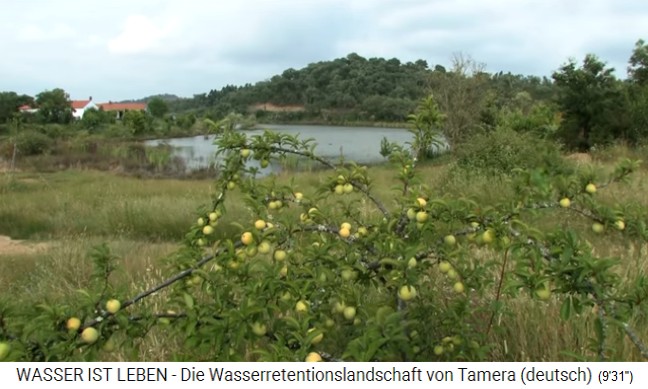 Tamera (Portugal) con lago 1
                    con melocotonero en la zona rivera