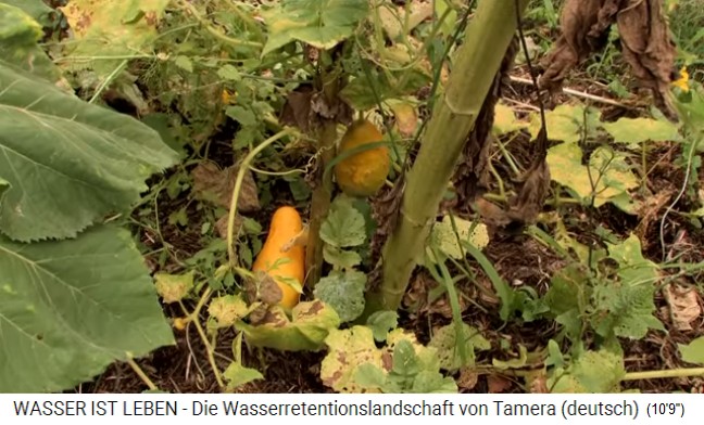 Tamera (Portugal) mit See 1 mit K�rbissen