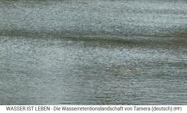 Tamera (Portugal): Das Wasser von See
                    1 ist durch die wellenf�rmigen Ufer und die
                    Wasserpflanzung in Hauptwindrichtung immer in
                    Bewegung