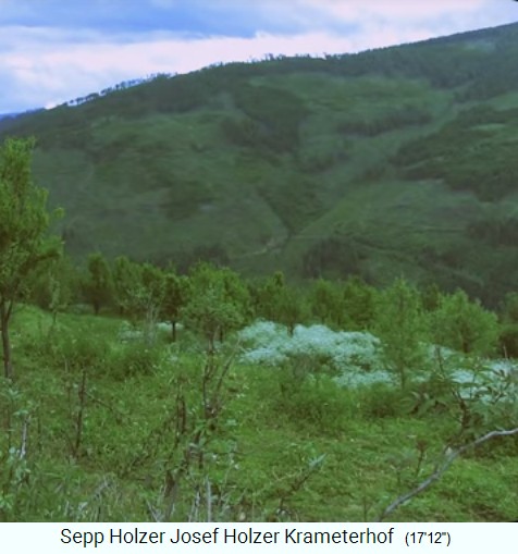Krameterhof, die
                    Streuobstwiese �ber 3 Terrassen hinweg