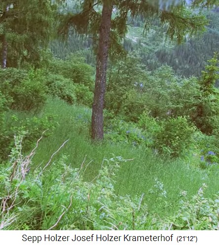 Granja
                    Krameterhof de Sepp Holzer: laderas de terrazas con
                    bosque medio (sistema bosque de silvicultura) con
                    arbustos y �rboles