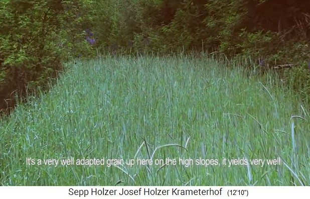 Krameterhof: Terrasse mit Roggen zweij�hrig
                    02