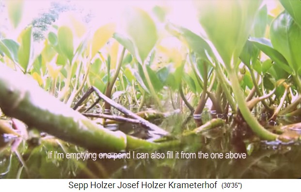 Granja Krameterhof
                    de Sepp Holzer, estanque de nen�fares, vista
                    frontal