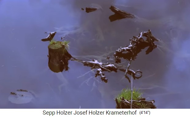 Krameterhof: Teich mit Struktur 01, Holz