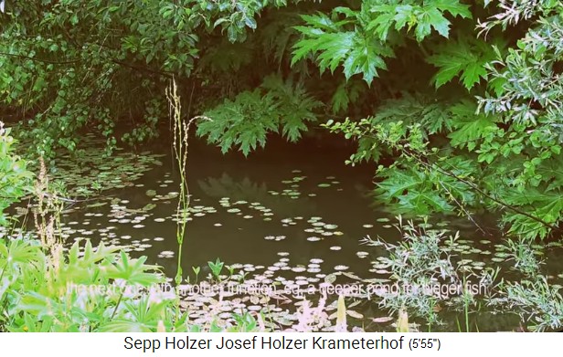 Granja Krameterhof de
                    Sepp Holzer: un estanque poco profundo