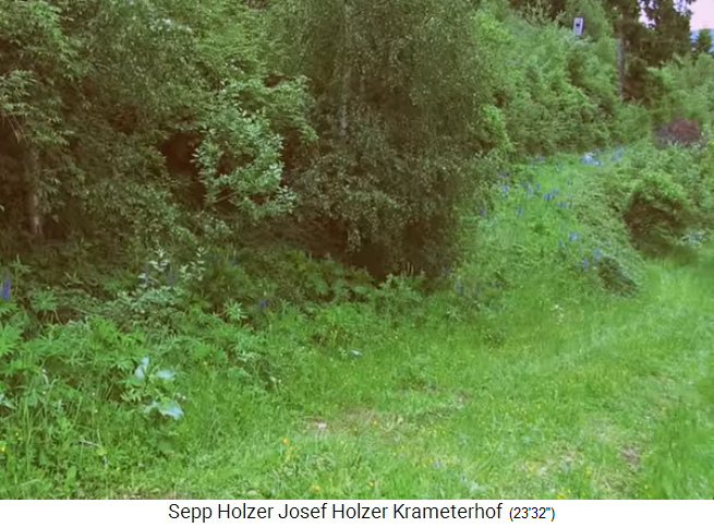 Granja Krameterhof de Sepp Holzer, ejemplo de
                    un terrapl�n desarrollado entre 2 terrazas