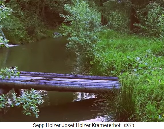 Granja Krameterhof de Sepp Holzer, sistema de
                    estanques con entrada desde un estanque superior