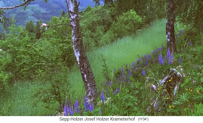 Granja Krameterhof de
                    Sepp Holzer: Terraza con centeno bienal 1