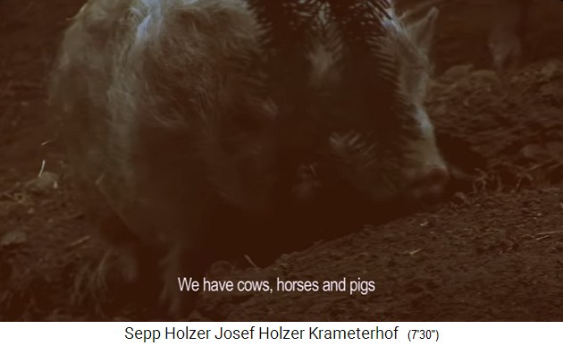 La granja Krameterhof de Sepp Holzer: cerdos