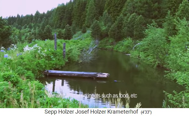 Krameterhof, ein Teich mit Steg 01