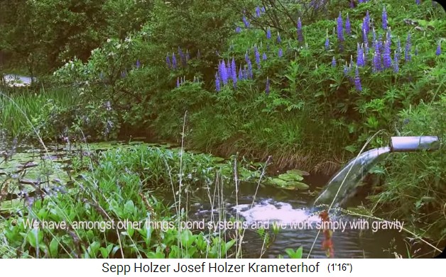 Seerosenteich 02, Seitenansicht