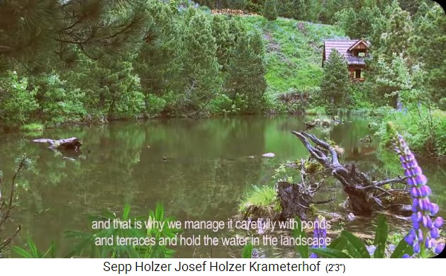 Granja
                    Krameterhof de Sepp Holzer: El estanque m�s alto con
                    la casa m�s alta