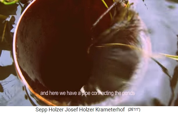 Pescar en la granja
                    Krameterhof de Sepp Holzer bajando el nivel de un
                    estanque con peces, estanque con rebosadero