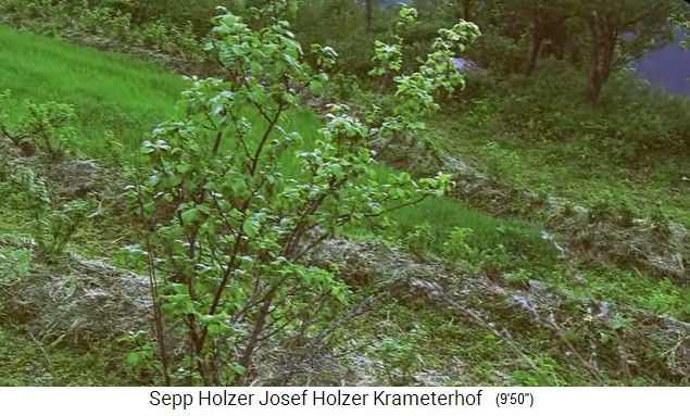 Krameterhof: Hang mit
                    H�gelbeeten mit Vogelbeerstr�uchern