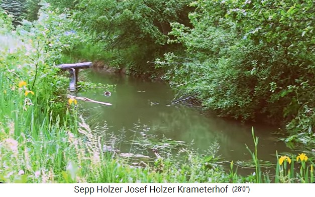 Granja
                    Krameterhof de Sepp Holzer, estanque tranquilo y
                    poco profundo 01