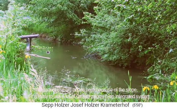 Granja Krameterhof de Sepp
                    Holzer: estanque con embarcadero 02