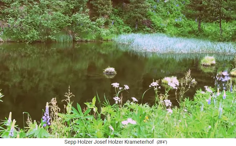 Granja
                    Krameterhof de Sepp Holzer, estanque tranquilo y
                    poco profundo 03