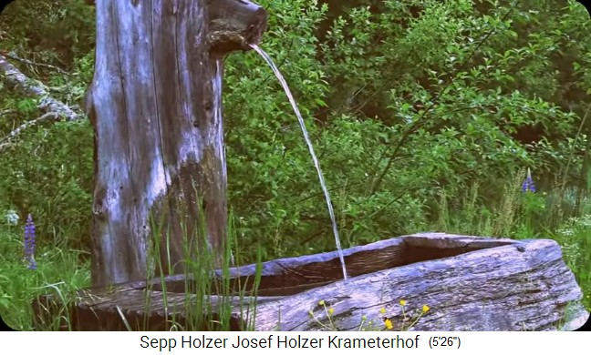 La granja Krameterhof de Sepp
                    Holzer: Un pozo en madera