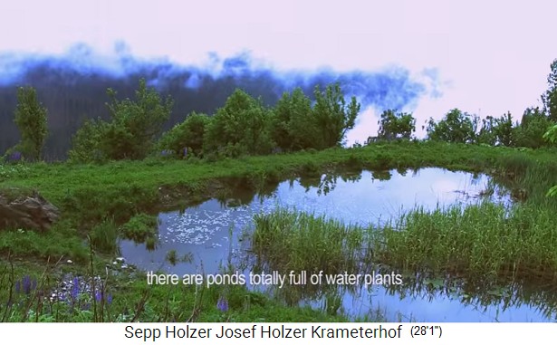 Granja
                    Krameterhof de Sepp Holzer, estanque tranquilo y
                    poco profundo 02