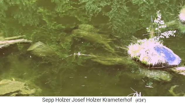 La granja Krameterhof de Sepp
                    Holzer: estanque con estructura 02, madera y plantas
                    acu�ticas