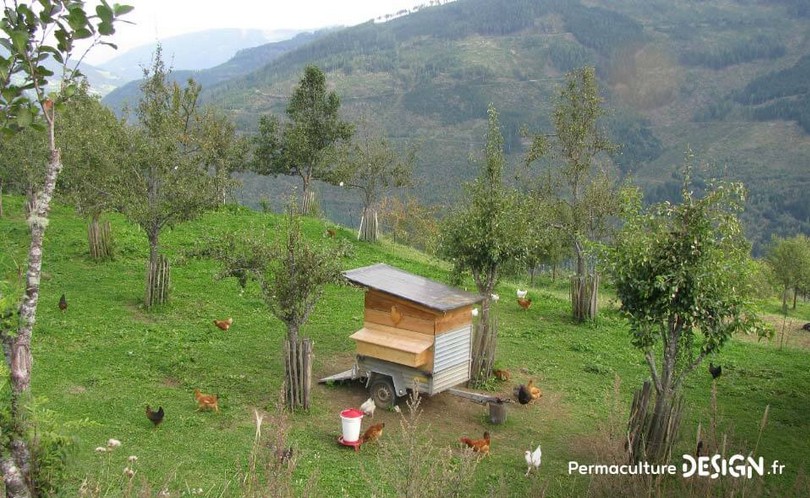 La
                    granja Krameterhof de Sepp Holzer: EEl gallinero
                    m�vil es un remolque con ruedas