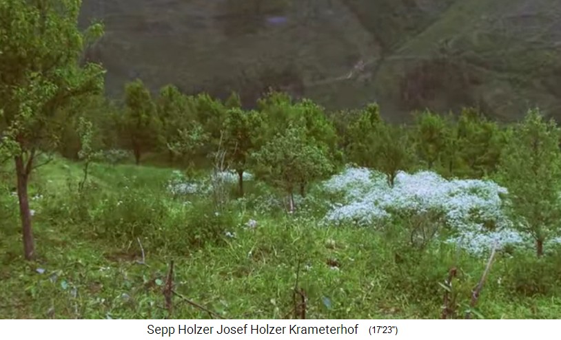 Granja
                    Krameterhof de Sepp Holzer: huerto para cerdos,
                    vacas y caballos