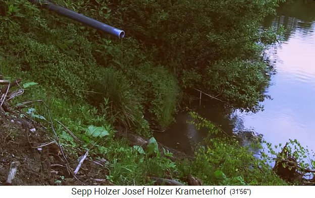 Pescar en la granja
                    Krameterhof de Sepp Holzer: bajando el nivel de un
                    estanque, la tuber�a de salida sin agua