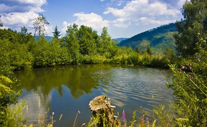 Ein Teich am Krameterhof von Sepp Holzer 02