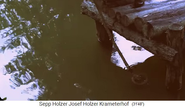Pescar en la granja
                    Krameterhof de Sepp Holzer, desbordamiento
                    inclinable para bajar el nivel del estanque 02