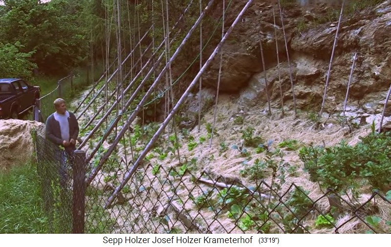 Granja Krameterhof de Sepp
                    Holzer, microclima c�lido en una pared rocosa a
                    1400m con mantillo de paja, as� crecen verduras de
                    regiones planos tambi�n en monta�as altas