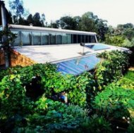Melliodora: house with vertical garden
