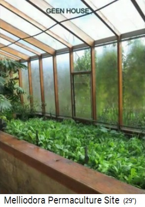 Greenhouse in
                    the house