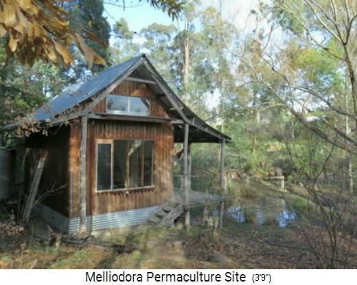 Melliodora 3 weeks
                        volunteering, pond with summer house