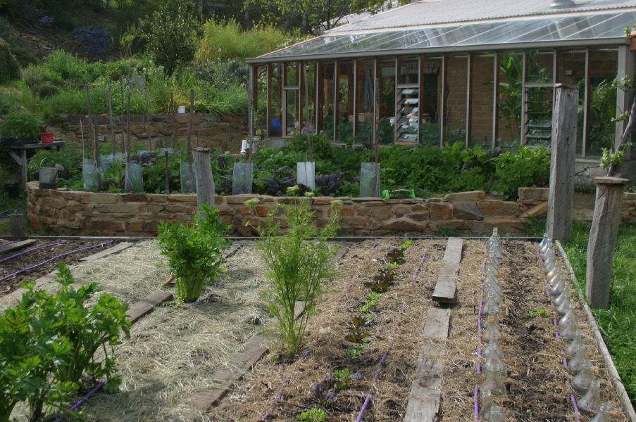 Melliodora, vegetable planting
                  bed with straw mulch and bottles