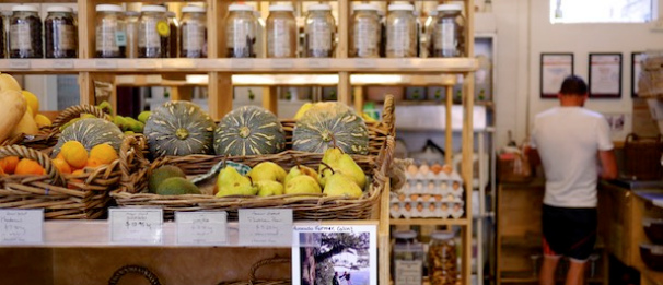 Melliodora, pumpkins, mandarins, avocados
                  and pears